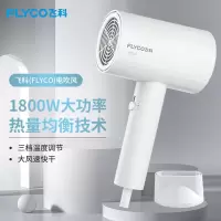 飞科 吹风机FH6295