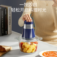 优益(Yoice) Y-JR65绞肉机