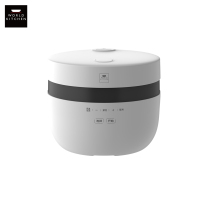 康宁(World Kitchen) 智能电饭煲 WK-FB3009/KZ