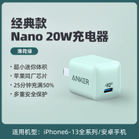 PowerPort III Nano 充电器 绿色