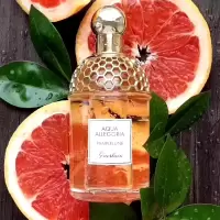 娇兰GUERLAIN 花草水语淡香水 [葡萄柚] 75ml