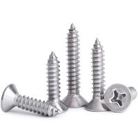 平头自钻螺丝6*25cm