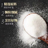 LONG LOVE BAKERY SINCE 1989 精制细盐400g/袋