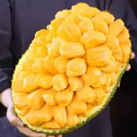 [西沛生鲜]海南红肉菠萝蜜 新鲜水果 香甜可口 1个 8-10斤装 西沛水果