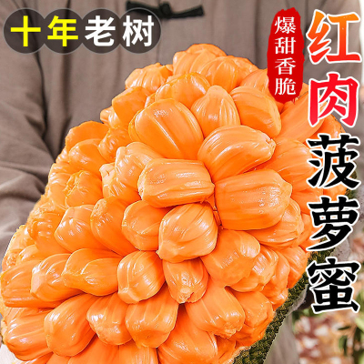 [西沛生鲜]海南红肉菠萝蜜 新鲜水果 香甜可口 1个 7-9斤装 西沛水果