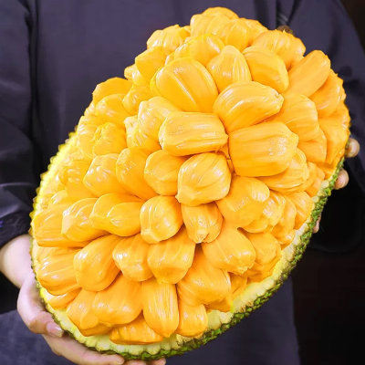 [西沛生鲜]海南红肉菠萝蜜 新鲜水果 香甜可口 1个 8-10斤装 西沛水果