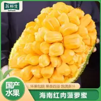 [西沛生鲜]海南红肉菠萝蜜 新鲜水果 香甜可口 1个 12-14斤装 西沛水果