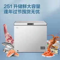 TCL冷柜BD/BC-251AQDA冷藏冷冻转化冷柜一级能效开卧式冰柜