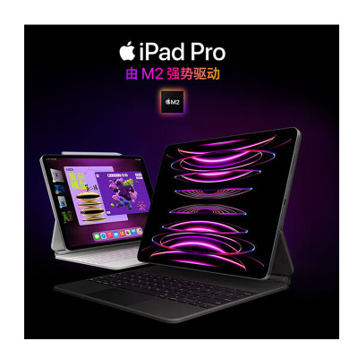 苹果(Apple)ipadpro2022款11英寸苹果平板电脑 M2芯片 11 寸 灰色 官 方 标 配 128G WLAN版