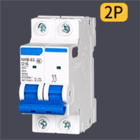 盛束 二相漏电 2P/63A