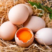 [西沛生鲜] 新鲜富硒鸡蛋10枚 散养土鸡蛋 柴鸡蛋笨鸡蛋草鸡蛋整箱