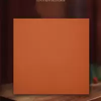 红缸砖 吸水防潮砖广场阳台花园酒店厨房地砖防滑砖 380*380