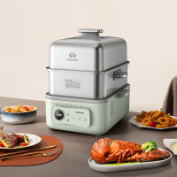 大宇(DAEWOO)多功能电蒸锅 DYZG-1568