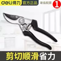 得力(deli) 高碳钢刀头树枝剪园林剪修枝剪粗枝剪树枝果枝剪花木剪可剪0-20mm树枝 DL580203