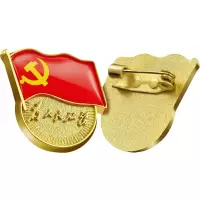 标准D徽胸章 别针磁扣蝴蝶扣为人民服务党员D章 别针扣10个装厚