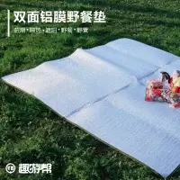 趣游帮 双面铝膜防潮垫餐垫户外便携防水睡垫布家用野炊地垫 200*200CM Y32