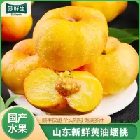 [苏鲜生]顺丰快递 山东新鲜黄油蟠桃 新鲜水果桃子 产地直发 净重4斤装