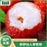 [苏鲜生]顺丰冷链 广西仙人奉荔枝 产地直采荔枝 净重4.5斤 单果20g起 新鲜水果 当季水果 现摘现发
