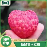 [苏鲜生]顺丰冷链 广西情人荔枝 产地直采荔枝 净重3斤 单果20g起 新鲜水果 当季水果 现摘现发