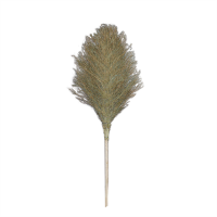 GIOIO 竹制大扫把 竹柄5斤左右 高2.3米宽0.9米