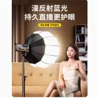 企采严选 柔光灯 T-21000W 2个装