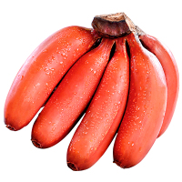 冠町 福建漳州红美人香蕉2斤装[精选果]新鲜水果生鲜