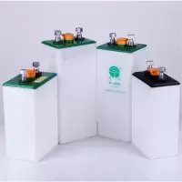 动力蓄电池 D250(2V250AH C5) 货期15天