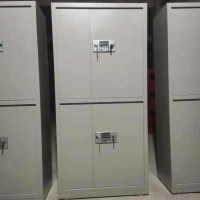 定制文件柜铁皮资料柜通双节 密码锁 尺寸约1850*850*390mm一个装