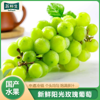 [苏鲜生]四川阳光玫瑰葡萄 净重4斤 单果8-12g 葡萄 青提子 应当季脆甜新鲜水果 孕妇 整箱