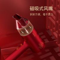 雷瓦1600W大功率千万级负离子护发电吹风RC-7811