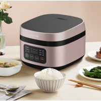九阳 F40FY-F330电饭煲4L