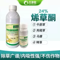 大丰收 丰创惠选 1000g升烯草酮油菜大豆园林除牛筋草禾本科杂草除草剂 单位:瓶