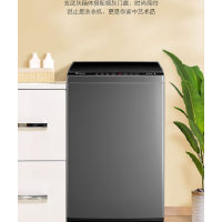 小天鹅(LittleSwan)波轮洗衣机全自动 8公斤大容量 健康免清洗 升级专业除螨 免清洗内桶 TB80V23H