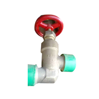 DN32/40外螺纹止回阀