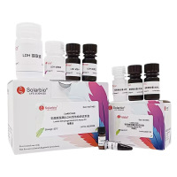 FDA水解酶活性检测试剂盒 BC0485-100T/48S