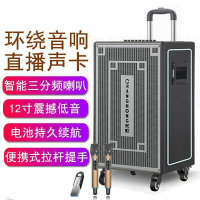 长虹 户外音响 大功率大音量蓝牙自带声卡 CY-85C(12吋三分频+双无线话筒)