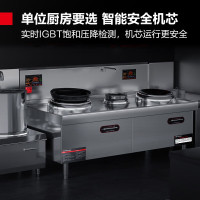 德玛仕(DEMASHI)电磁双头小炒灶 HW-SXC20C-01(定制、含上楼费)