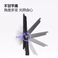 公牛(bull) 投光灯 户外路灯庭院灯园林照明灯 IP65防水等级 3000K MG-A150A-AE