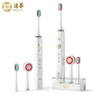 诸华洁面健齿护理套装EMC-08T