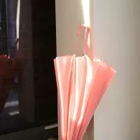 小窝厘 FIYU小清新小皮柄16骨长伞F1 樱花粉