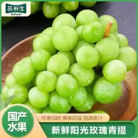 [苏鲜生]辽宁晴王阳光玫瑰葡萄 净重4斤 葡萄 青提子 应当季脆甜新鲜水果 孕妇 整箱