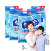 维达(vinda)湿巾纸消毒 VW1009A10片×5包 1中包