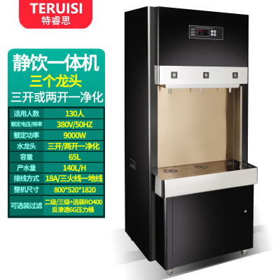 特睿思(TERUISI)直饮机 办公室净化水开水器 商用学校工厂烧水机大型不锈钢直饮水机三级过滤饮水机 AGK-90L