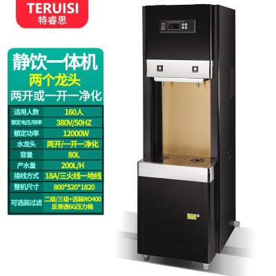 特睿思(TERUISI)直饮机 办公室净化水开水器商用学校工厂烧水机大型不锈钢直饮水机RO反渗透饮水机 AGK-120L