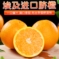[熊猫鸟]进口埃及橙 当季甜橙 净重5斤装 进口生鲜水果 甜蜜多汁