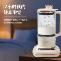 创维(Skyworth) 破壁营养料理机豆浆机 P343
