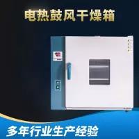 智能控温电热鼓风干燥箱捷扬恒温烘箱烤箱实验工业商用烤箱老化箱一台