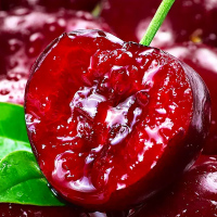 JD快递 [熊猫鸟]大连美早大樱桃 JJJ级 净重4.8斤装 应季车厘子 新鲜水果 酸甜可口