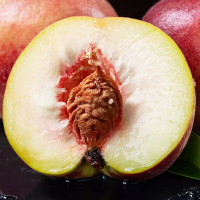 [熊猫鸟]顺丰快递 新鲜 山东冬桃 蜜桃新鲜水果 净重3斤装 应季现摘脆甜毛桃子 整箱