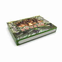 ILI+VE乐春天防霉驱杀虫药 30袋/盒